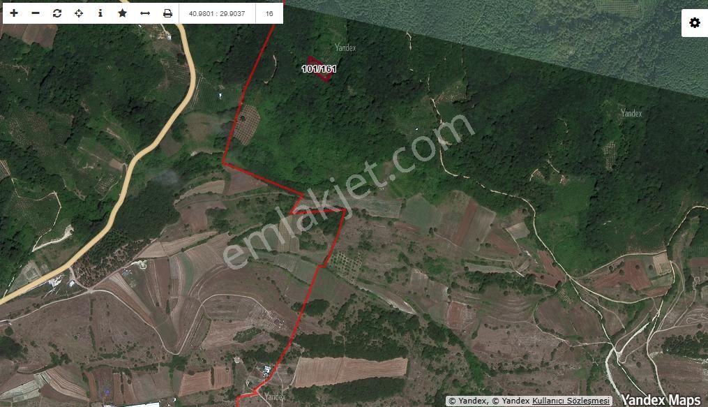 Kandıra Tatarahmet’te Ormanın Kalbinde 1.690 M² Doğa Harikası - Görsel 10