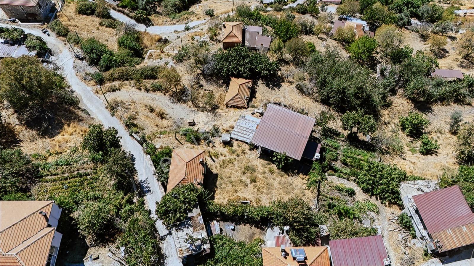 Cb Marina'dan Zeytinköy'de Akbük'e 5 Dk Satılık "ev Ve Tarla" - Görsel 23