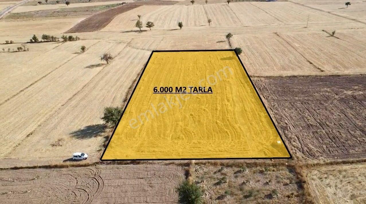 Antalya Korkuteli Büyük Köy Mah. Toplam 6.000 M2 Tarla