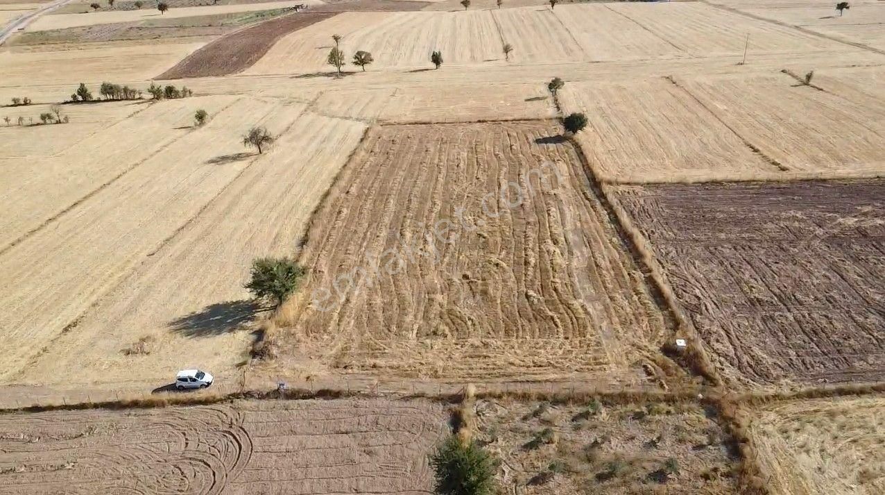 Antalya Korkuteli Büyük Köy Mah. Toplam 6.000 M2 Tarla - Görsel 2