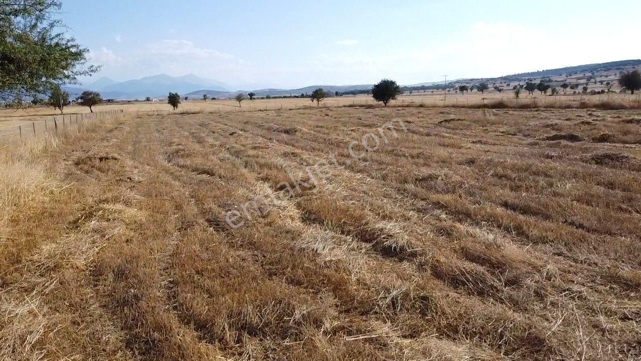 Antalya Korkuteli Büyük Köy Mah. Toplam 6.000 M2 Tarla - Görsel 21