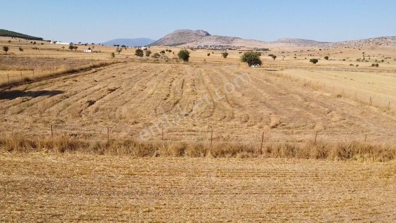 Antalya Korkuteli Büyük Köy Mah. Toplam 6.000 M2 Tarla - Görsel 19
