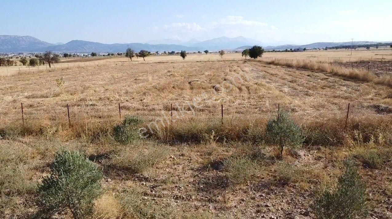 Antalya Korkuteli Büyük Köy Mah. Toplam 6.000 M2 Tarla - Görsel 18