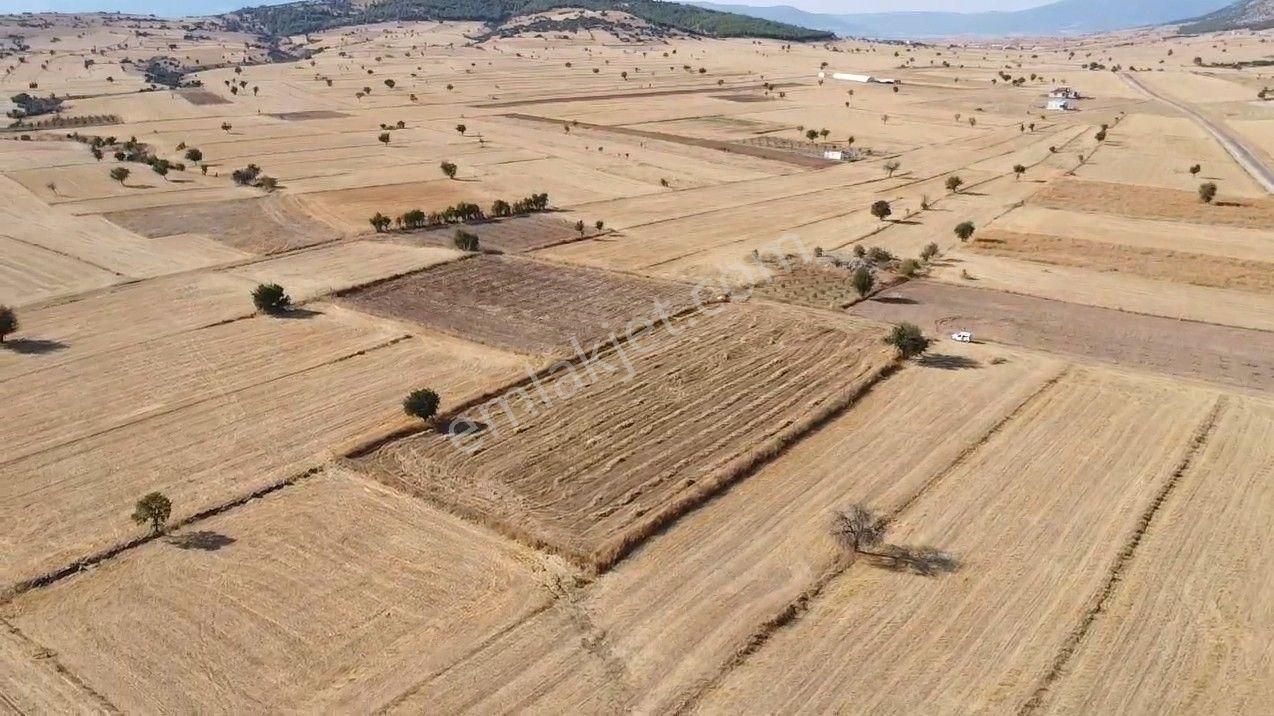 Antalya Korkuteli Büyük Köy Mah. Toplam 6.000 M2 Tarla - Görsel 11