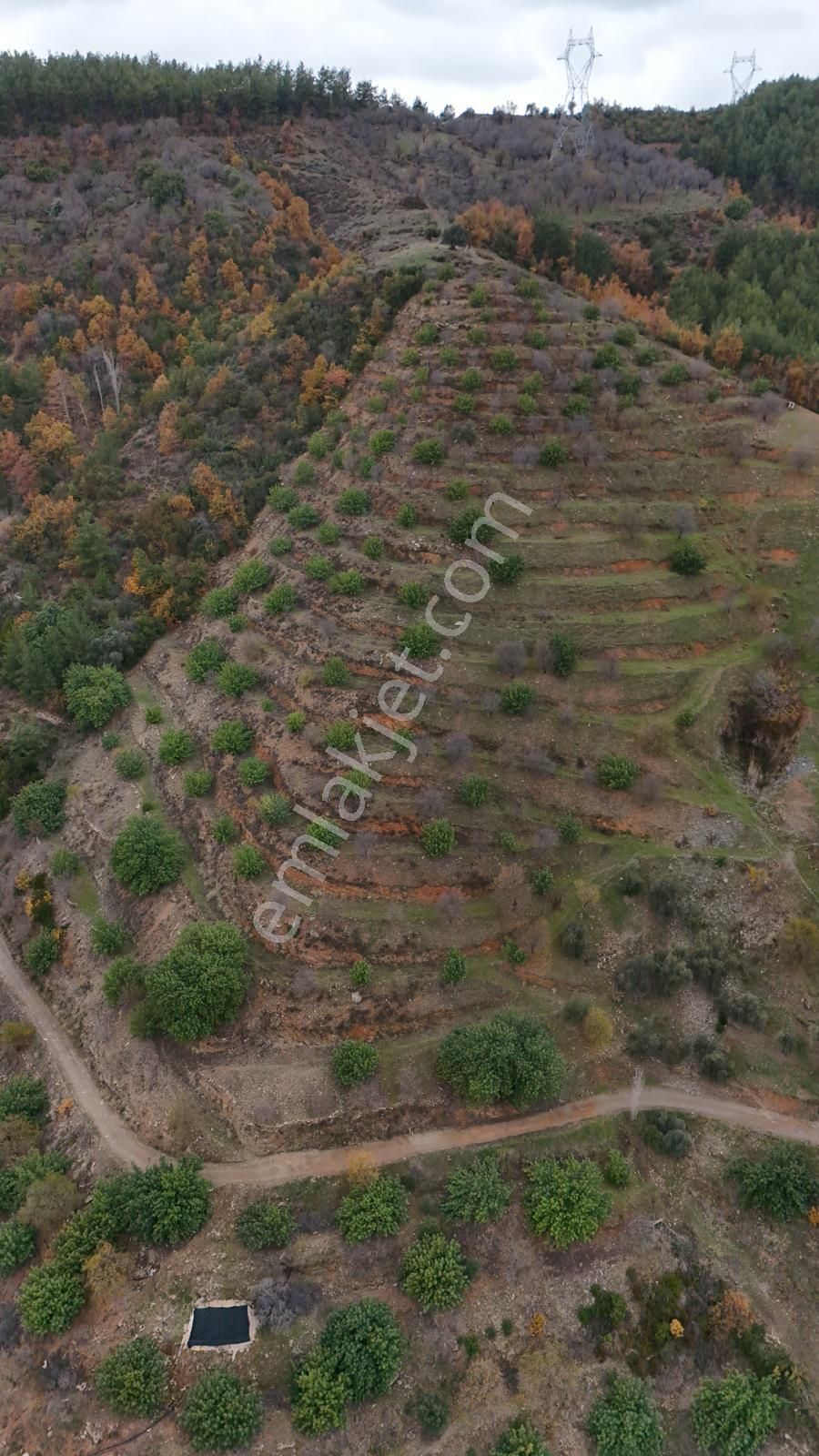 Gazipaşa Sessiz Cennet Bölgesinde, Doğa İle İç İçe Satılık !