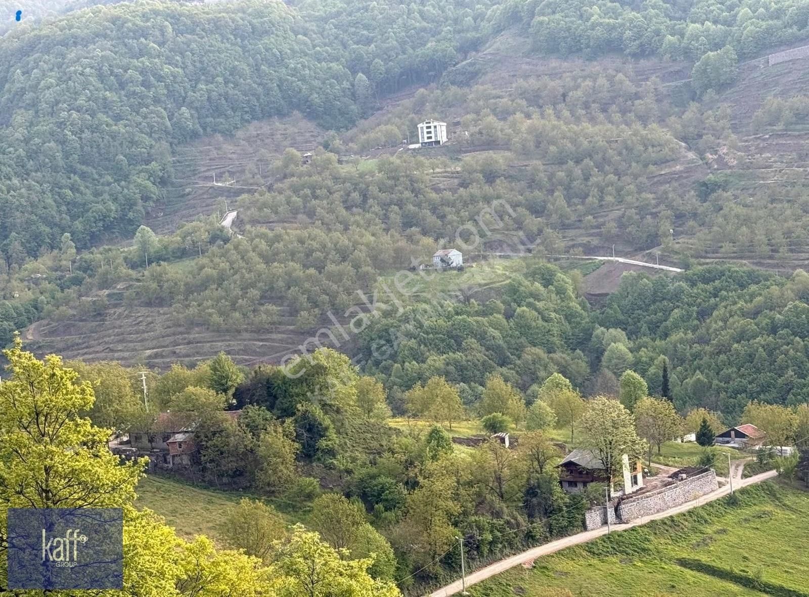 Başiskele Aksığın Mah. 12 Dönüm Doğa İle İçiçe Kiralık Arazi - Görsel 4