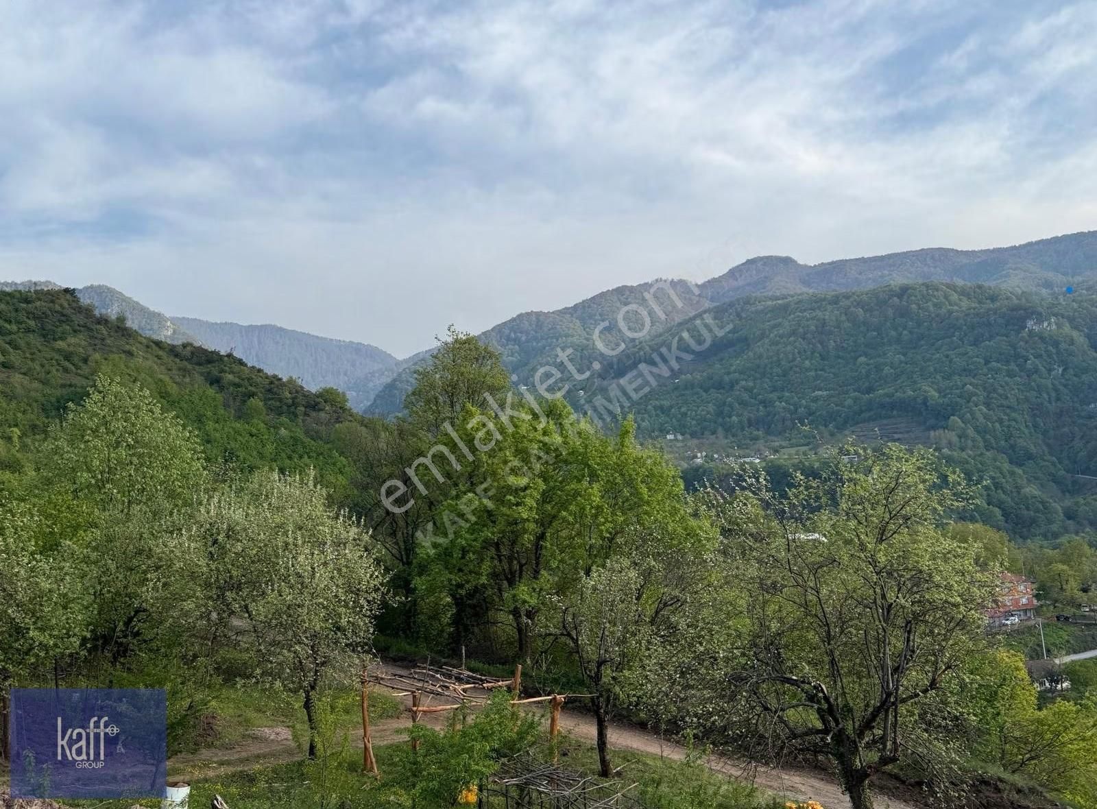 Başiskele Aksığın Mah. 12 Dönüm Doğa İle İçiçe Kiralık Arazi - Görsel 5