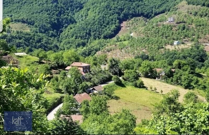 Başiskele Aksığın Mah. 12 Dönüm Doğa İle İçiçe Kiralık Arazi