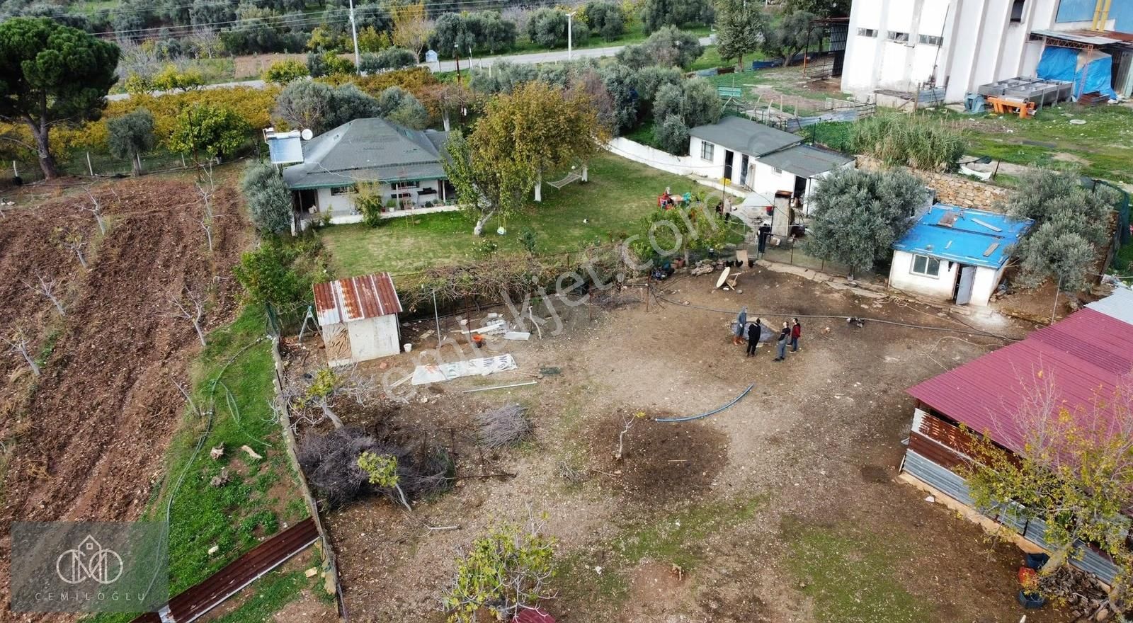 İzmir Torbalı Karakızlar Mahallesinde Satılık Tek Tapu Çiftlik! - Görsel 33