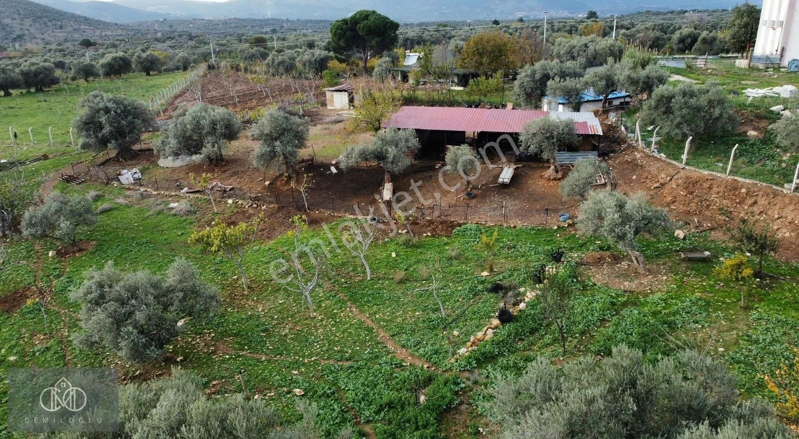 İzmir Torbalı Karakızlar Mahallesinde Satılık Tek Tapu Çiftlik! - Görsel 3