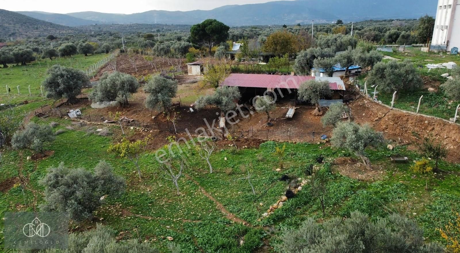 İzmir Torbalı Karakızlar Mahallesinde Satılık Tek Tapu Çiftlik! - Görsel 24