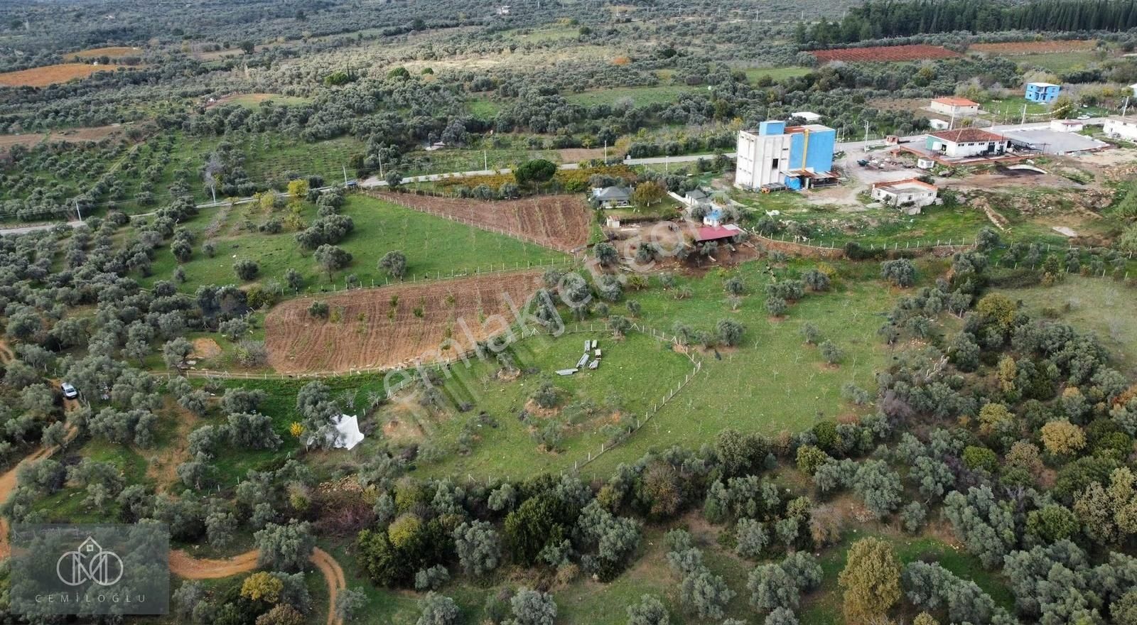İzmir Torbalı Karakızlar Mahallesinde Satılık Tek Tapu Çiftlik! - Görsel 9