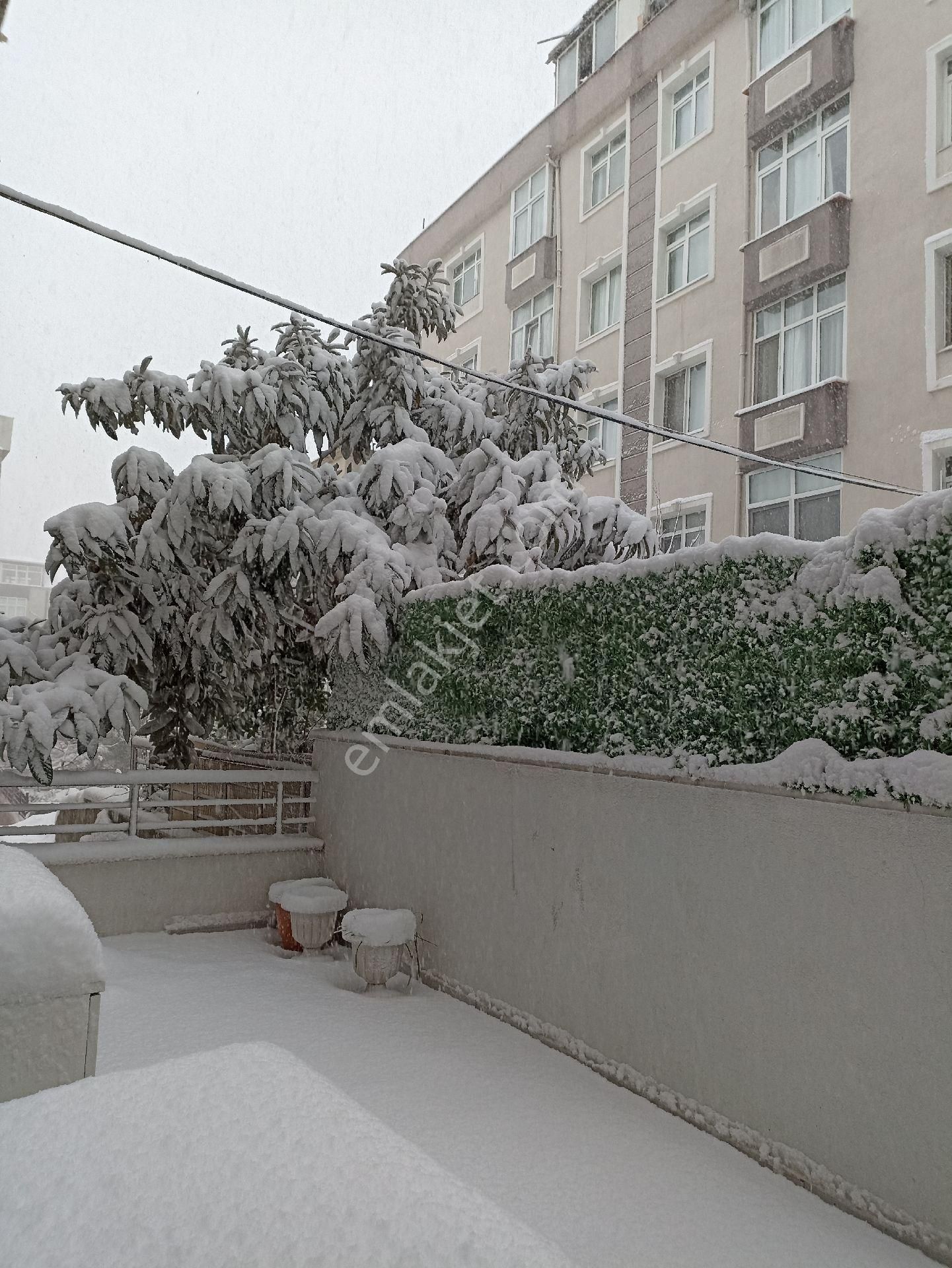 Acil Satılık - Görsel 20