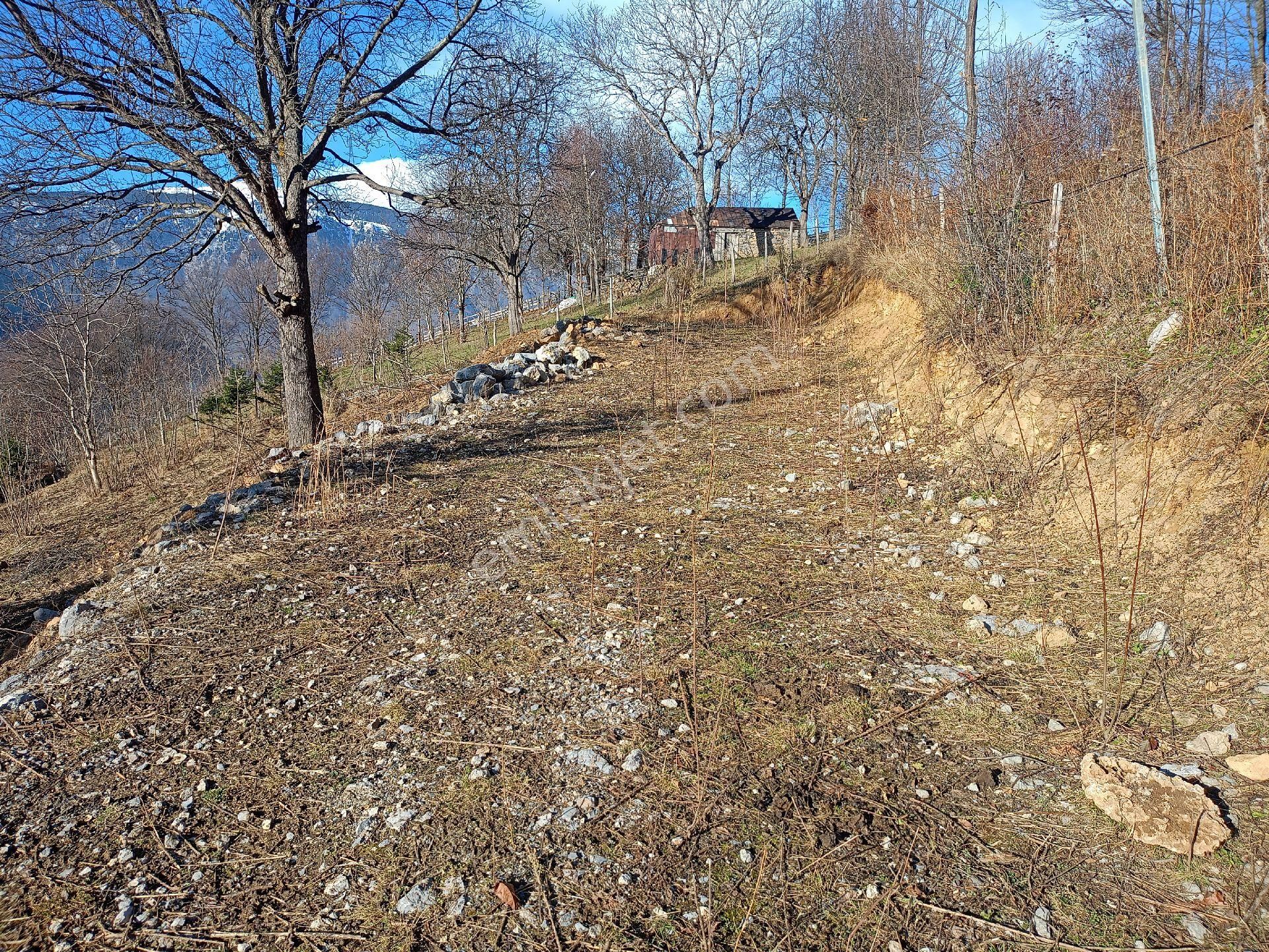 Düzköy’ De Harika Doğa Manzaralı Villalık 9 Dönüm Fırsat Arazi - Görsel 5