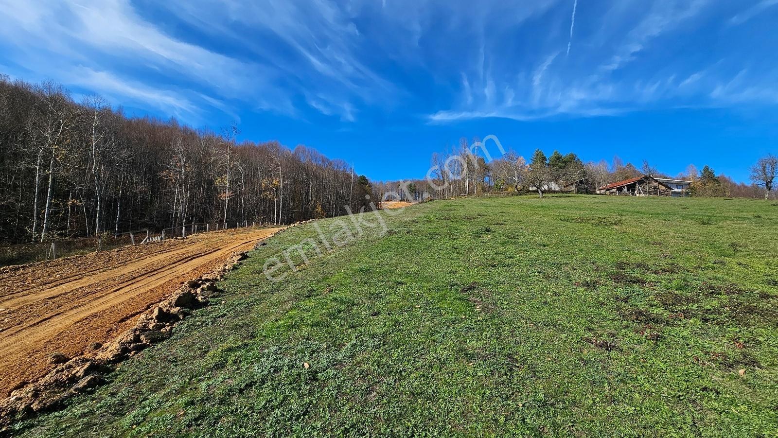 Acara'dan/iznik Kutluca'da Asfalta Cephe / 438m² Villalık Arsa - Görsel 11