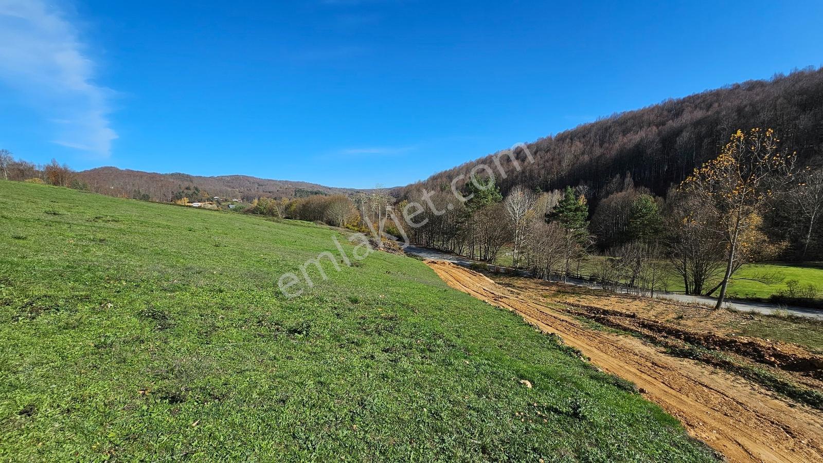 Acara'dan/iznik Kutluca'da Asfalta Cephe / 438m² Villalık Arsa - Görsel 6