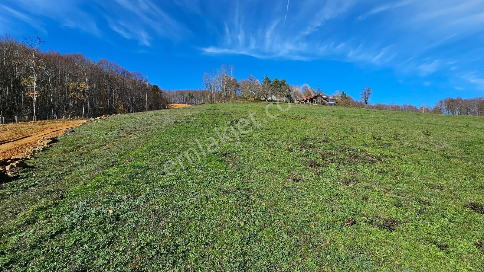 Acara'dan/iznik Kutluca'da Asfalta Cephe / 438m² Villalık Arsa - Görsel 10