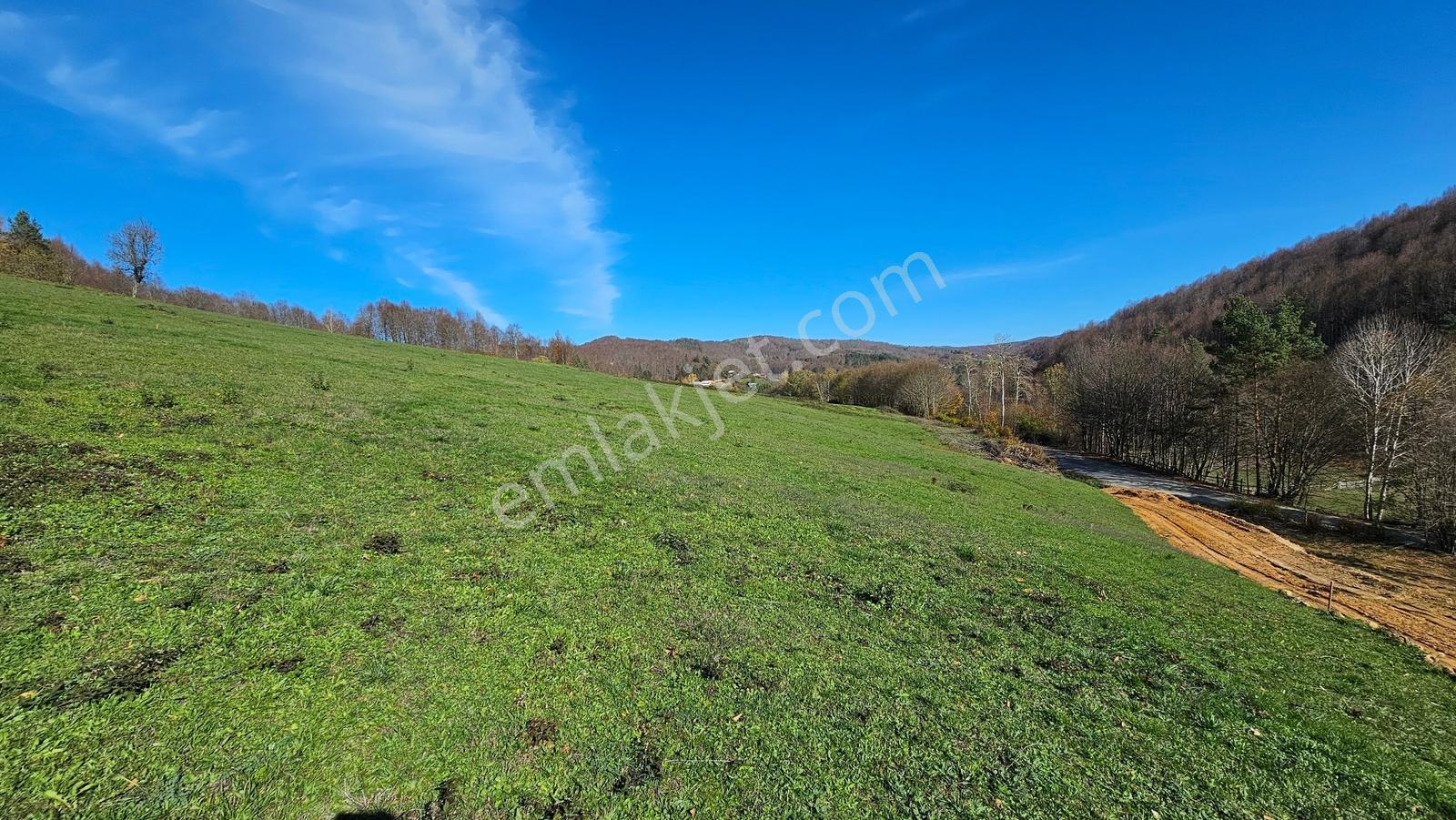 Acara'dan/iznik Kutluca'da Asfalta Cephe / 438m² Villalık Arsa - Görsel 8