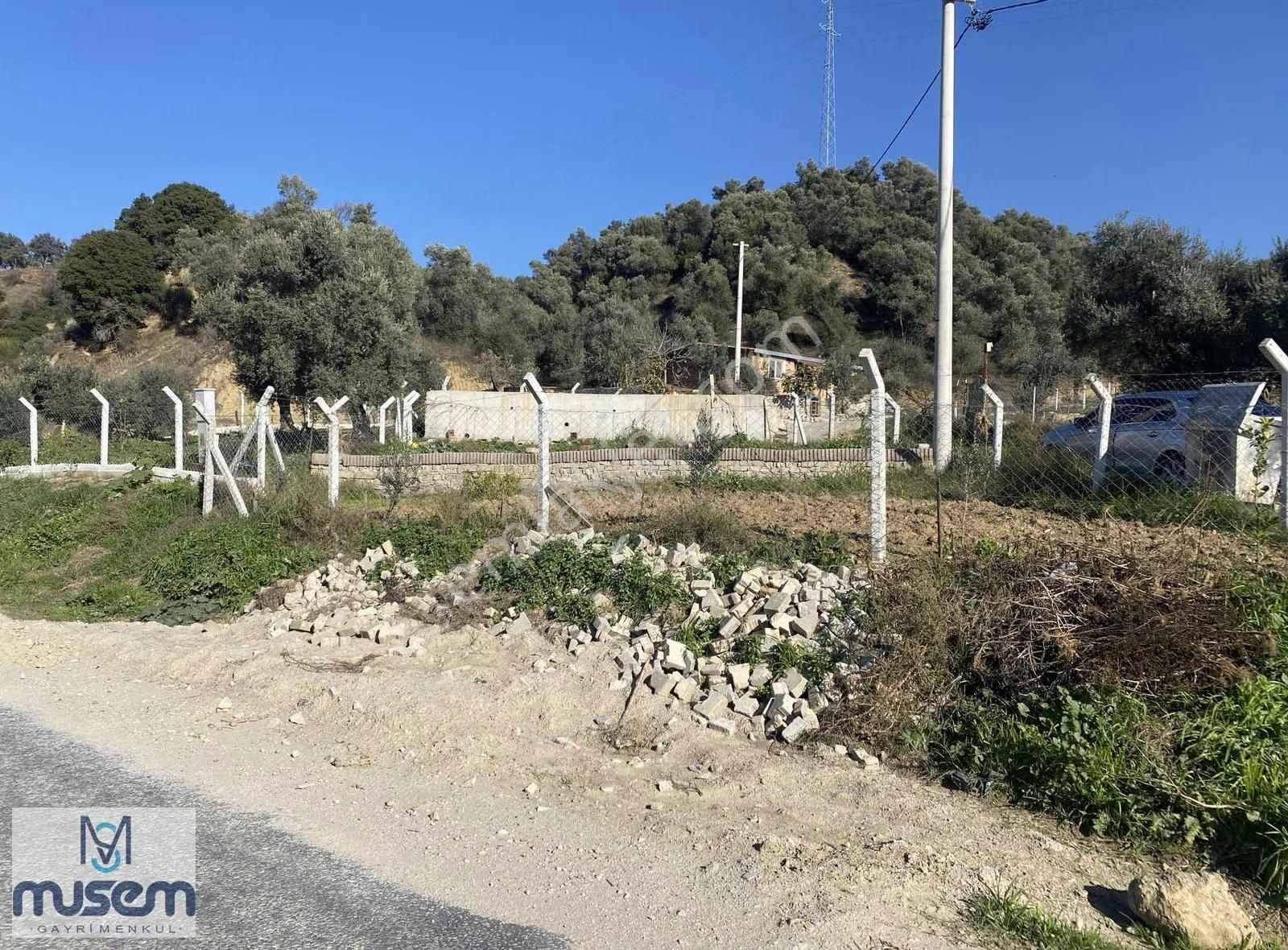Aydın Germencikte Yola Sıfır Hobi Bahçesi - Görsel 30