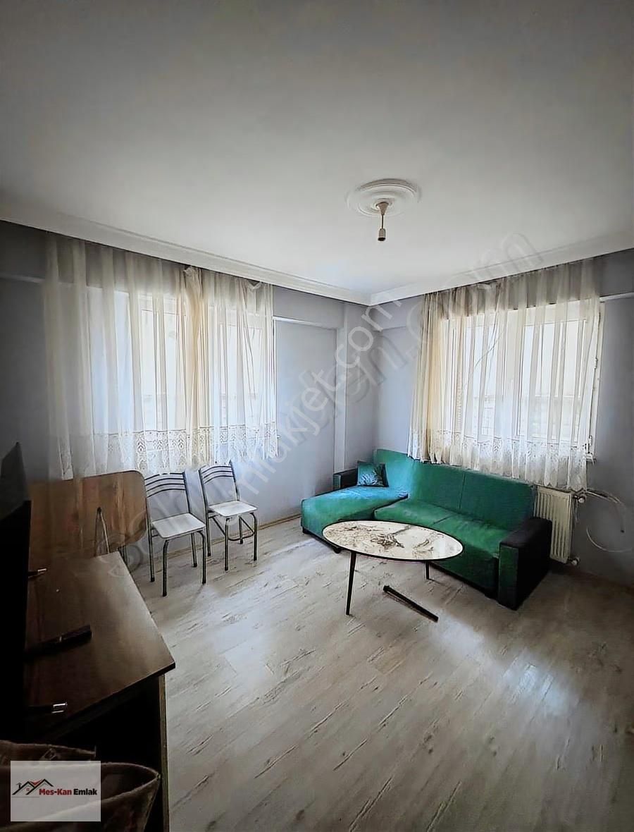 Meskan Dan Yerleşime Yakın Giriş Katı 2+1 Eşyalı Kiralık - Görsel 4
