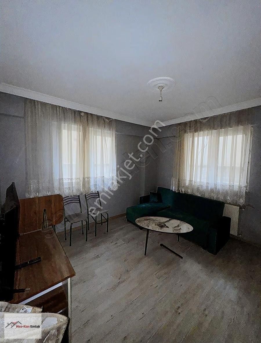 Meskan Dan Yerleşime Yakın Giriş Katı 2+1 Eşyalı Kiralık - Görsel 12
