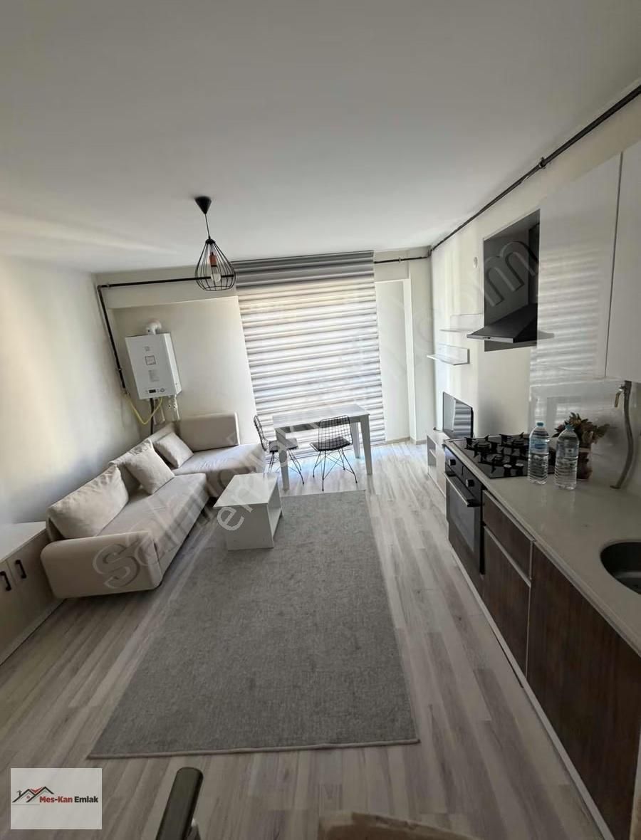 Meskandan Zmc 1+1 Dubleks Mülkiyetli Kiracısız Satılık Daire - Görsel 6