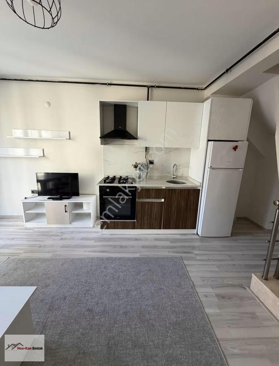 Meskandan Zmc 1+1 Dubleks Mülkiyetli Kiracısız Satılık Daire - Görsel 4