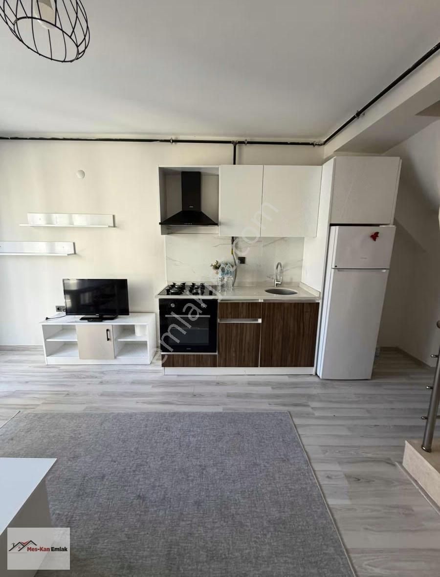 Meskandan Zmc 1+1 Dubleks Mülkiyetli Kiracısız Satılık Daire - Görsel 2