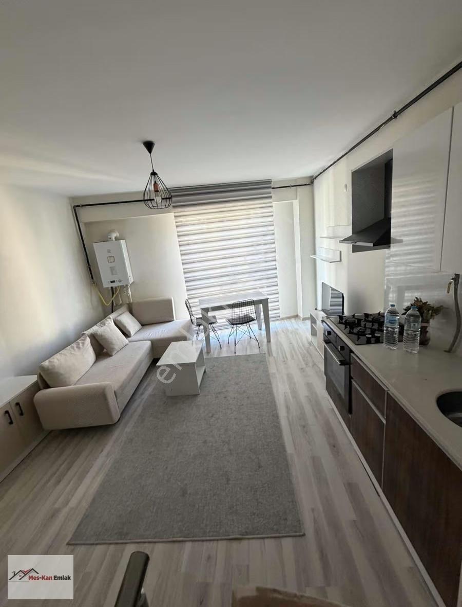 Meskandan Zmc 1+1 Dubleks Mülkiyetli Kiracısız Satılık Daire - Görsel 8