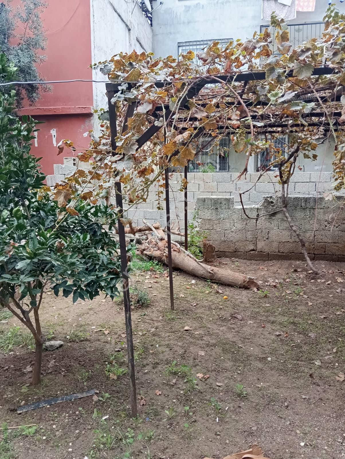 Beykent Den Satılık Müstakil Ev - Görsel 3