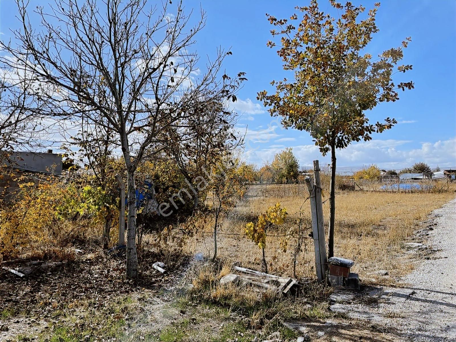Yenibahçe'de 3000 M2 Satılık Bahçe Elektrik Ve Su Mevcut - Görsel 9