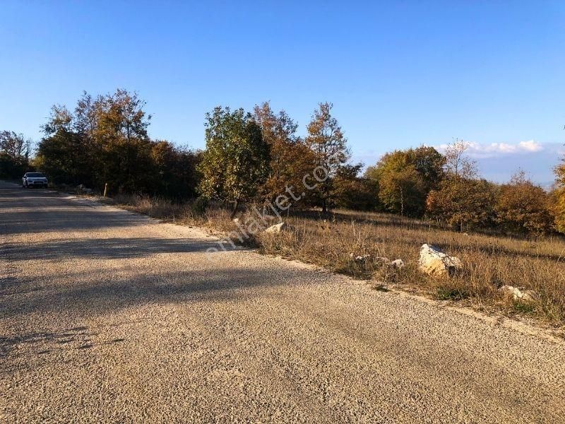 K2 Pera Bursa Nilüfer Ayvaköy 13704 M2 Tek Tapu Yatırımlık Arazi - Görsel 3