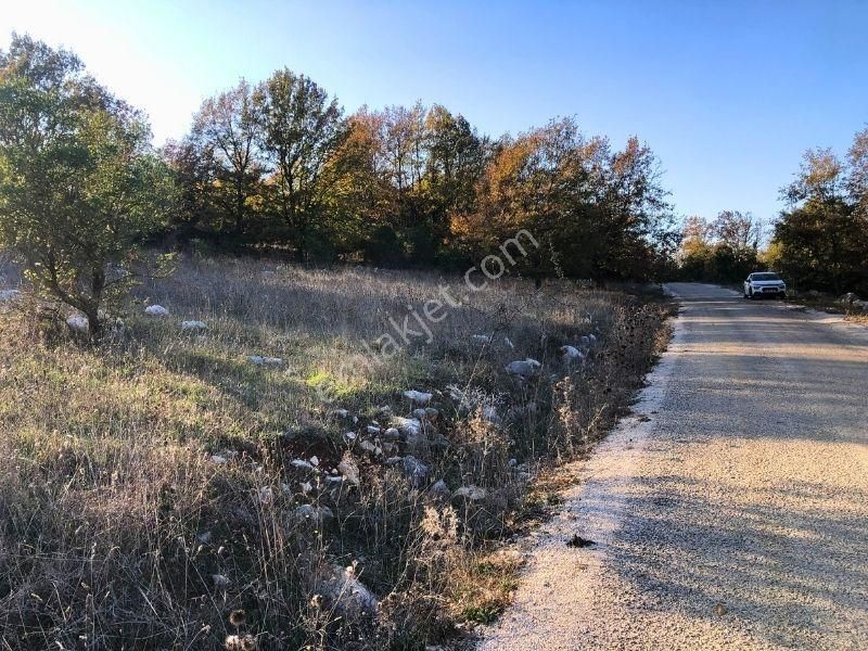 K2 Pera Bursa Nilüfer Ayvaköy 13704 M2 Tek Tapu Yatırımlık Arazi - Görsel 6