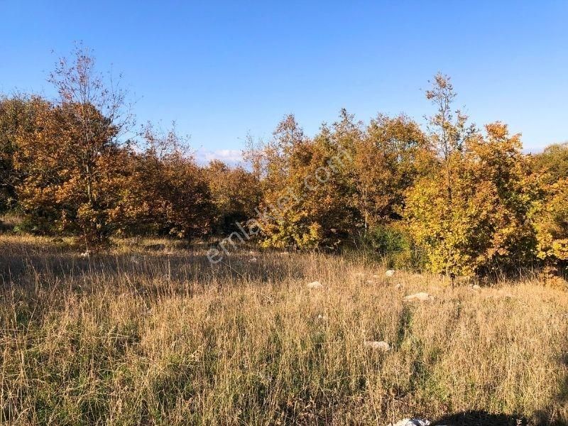 K2 Pera Bursa Nilüfer Ayvaköy 13704 M2 Tek Tapu Yatırımlık Arazi - Görsel 11