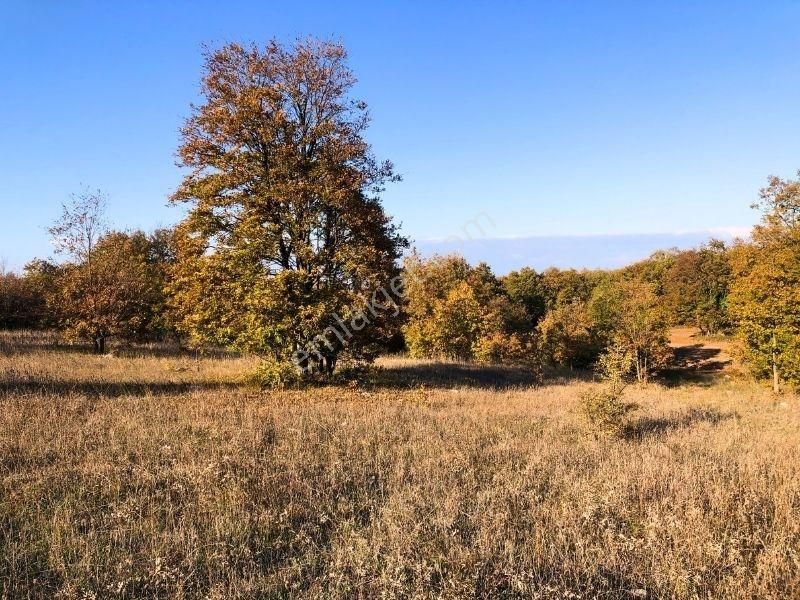 K2 Pera Bursa Nilüfer Ayvaköy 13704 M2 Tek Tapu Yatırımlık Arazi - Görsel 8