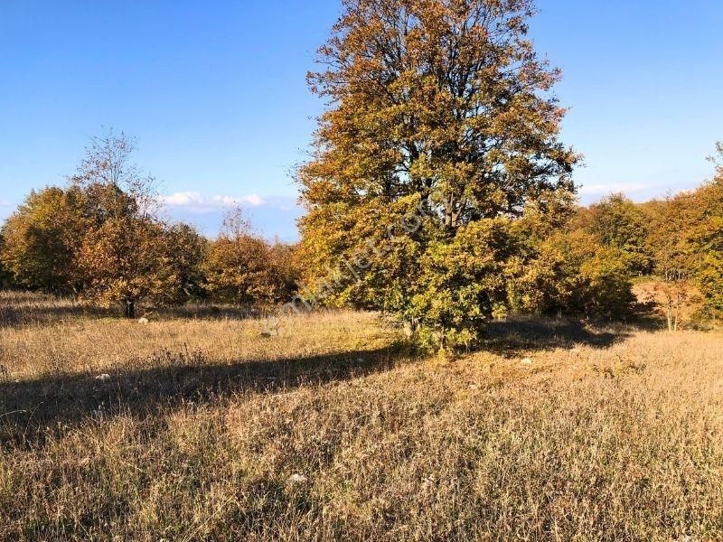 K2 Pera Bursa Nilüfer Ayvaköy 13704 M2 Tek Tapu Yatırımlık Arazi - Görsel 9