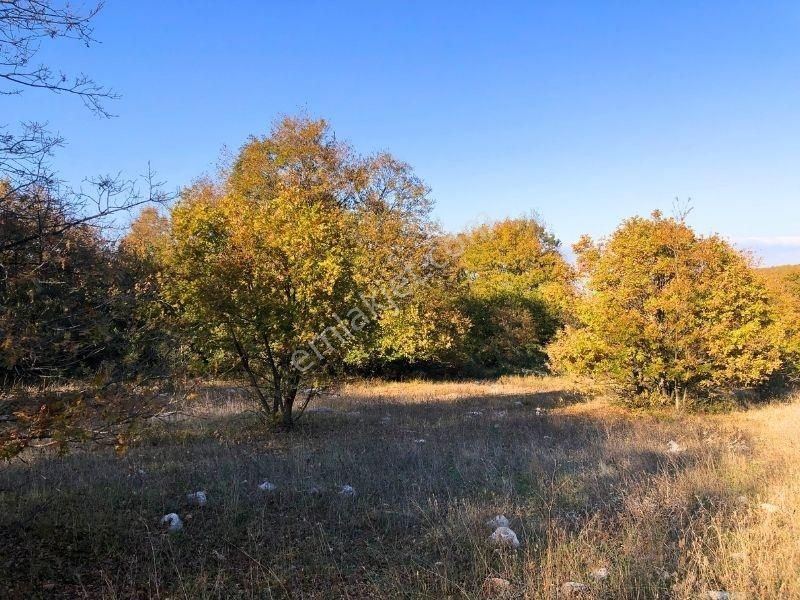 K2 Pera Bursa Nilüfer Ayvaköy 13704 M2 Tek Tapu Yatırımlık Arazi - Görsel 2