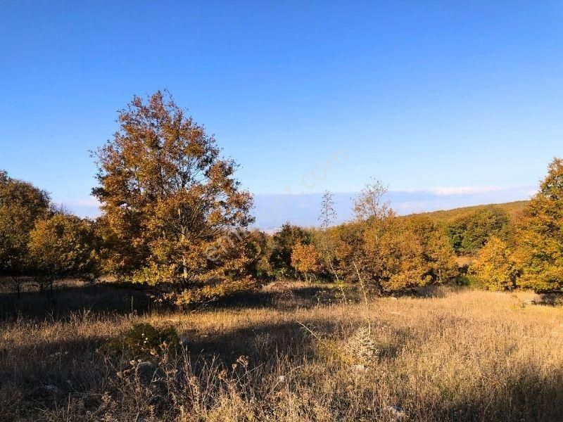 K2 Pera Bursa Nilüfer Ayvaköy 13704 M2 Tek Tapu Yatırımlık Arazi - Görsel 5