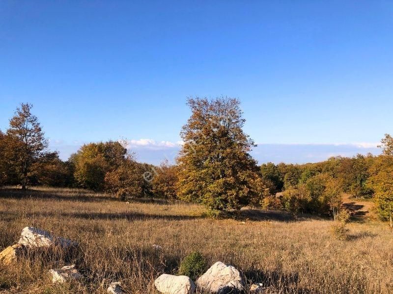 K2 Pera Bursa Nilüfer Ayvaköy 13704 M2 Tek Tapu Yatırımlık Arazi - Görsel 10