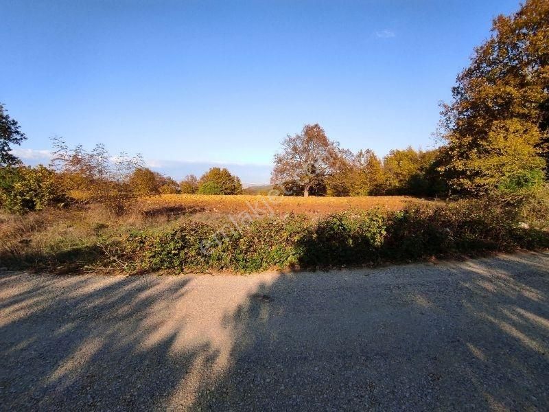 K2 Pera Bursa Nilüfer Ayvaköy 6693 M2 Yatırımlık Manzaralı Arazi - Görsel 2