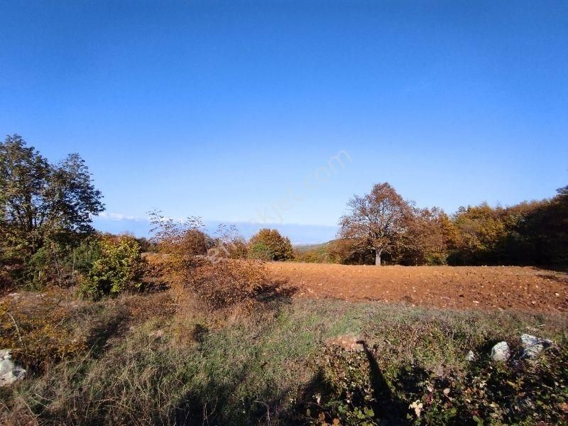 K2 Pera Bursa Nilüfer Ayvaköy 6693 M2 Yatırımlık Manzaralı Arazi - Görsel 13