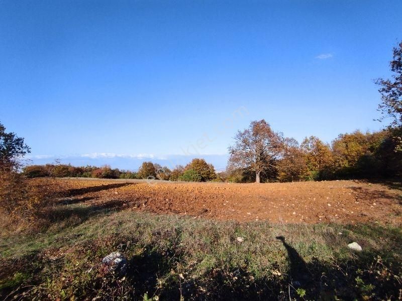 K2 Pera Bursa Nilüfer Ayvaköy 6693 M2 Yatırımlık Manzaralı Arazi - Görsel 16