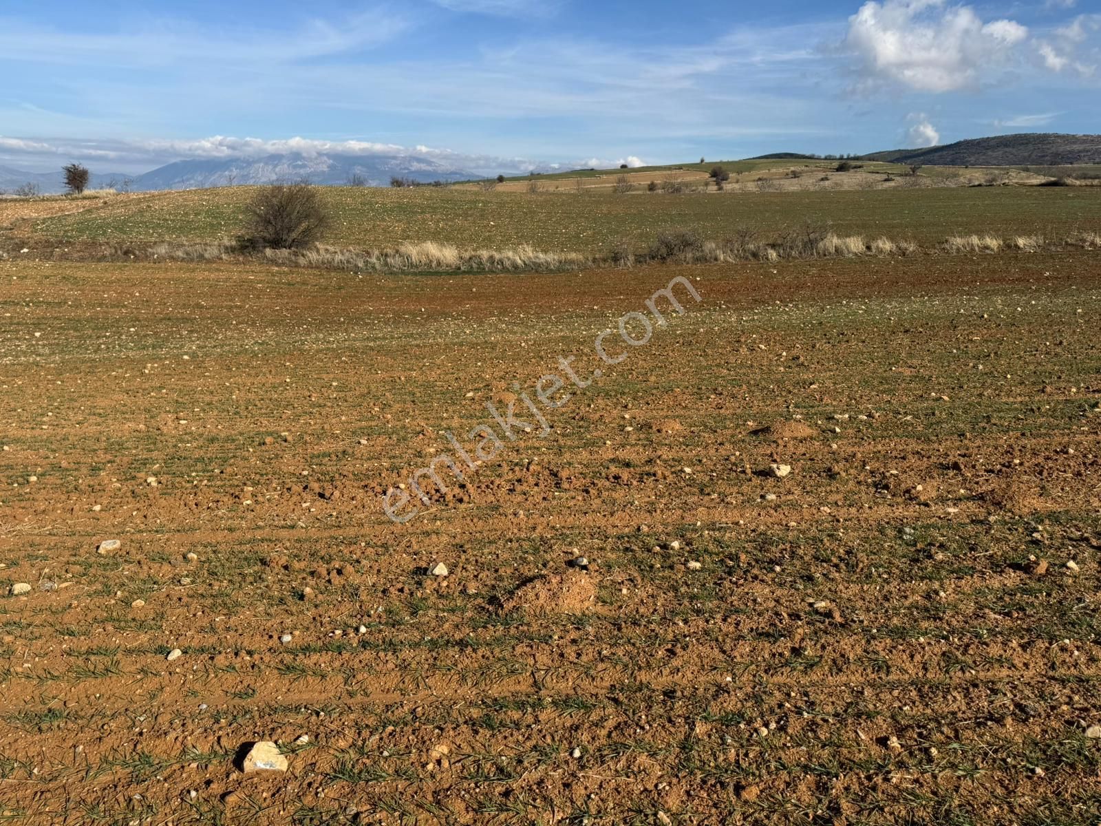 Asfalt Yola 90 Metre Cepheli Müstakil 5.000 M² Tarla - Görsel 7
