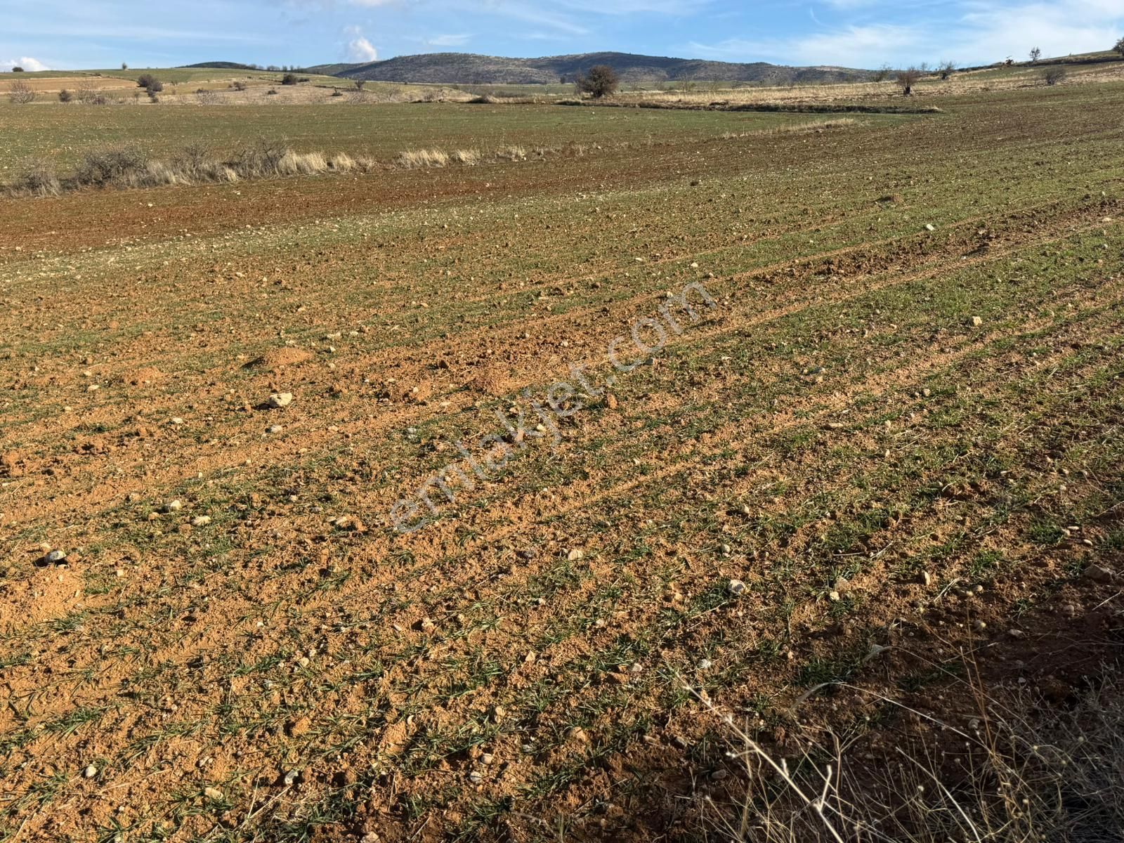 Asfalt Yola 90 Metre Cepheli Müstakil 5.000 M² Tarla - Görsel 5