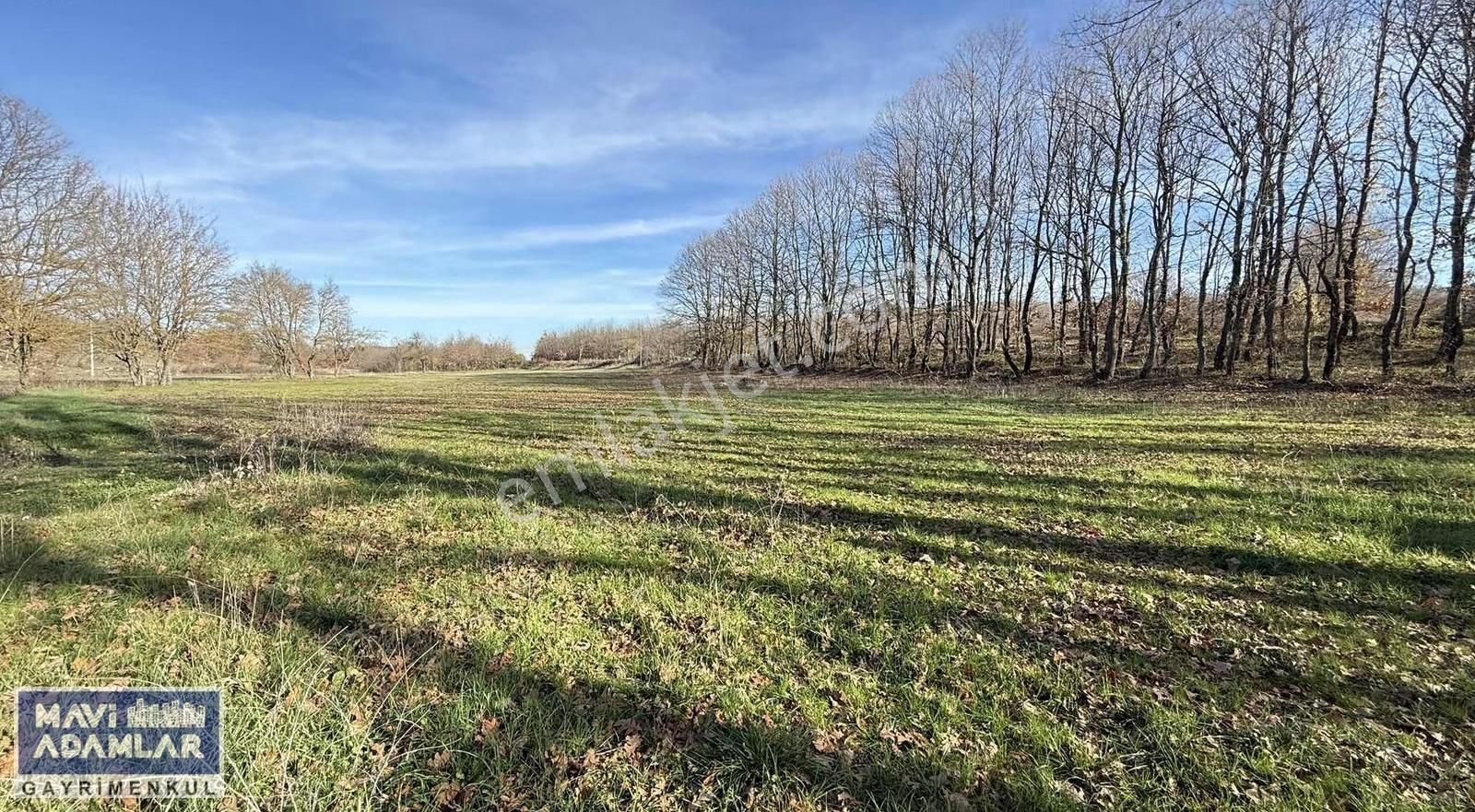 Kazanpınar Ana Yola Cephe 2450 M2 Müstakil Tapu Tarla - Görsel 6