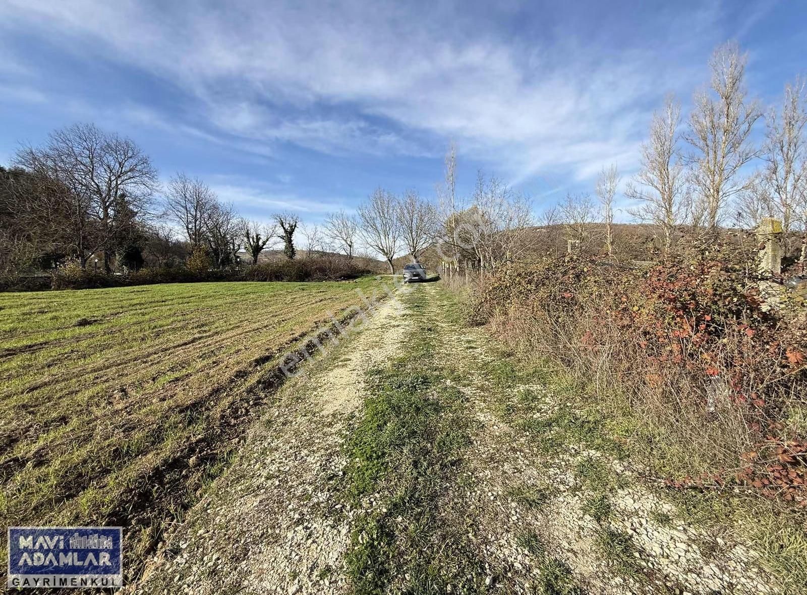 Nilüfer Korubaşı 329 M2 Resmi Yola Cephe Tarla - Görsel 2