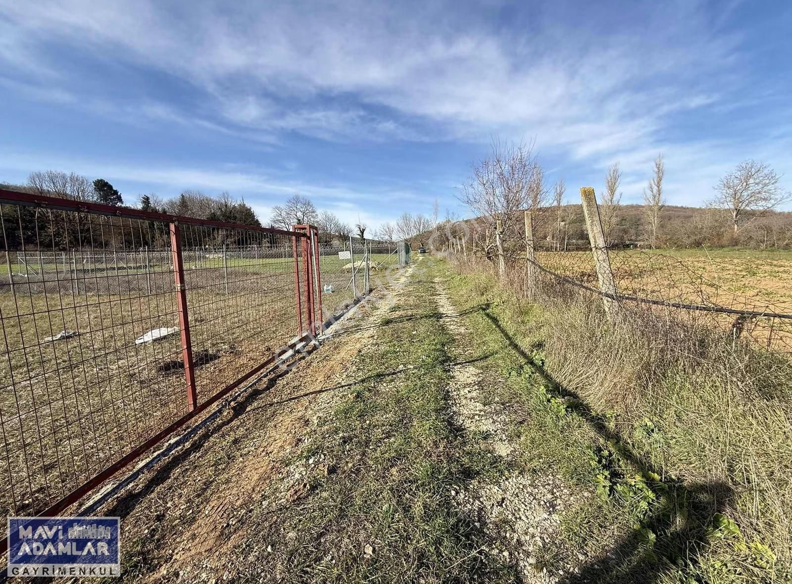 Nilüfer Korubaşı 329 M2 Resmi Yola Cephe Tarla - Görsel 8