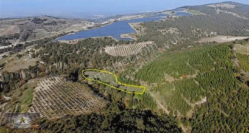 ^^tanberk Satılık Tarla 6.826 M2 Taştepe^^ - Görsel 8