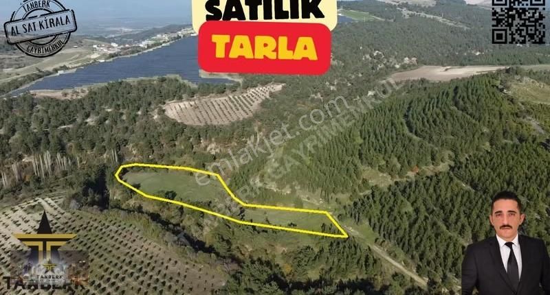 ^^tanberk Satılık Tarla 6.826 M2 Taştepe^^