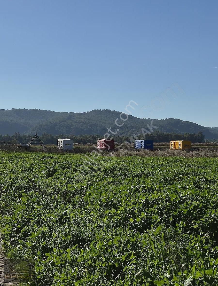 Muğla Marmaris Fethiye Üçgeninde Yatırımlık Tarla